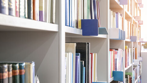 Fachberatung Regal einer Schulbibliothek